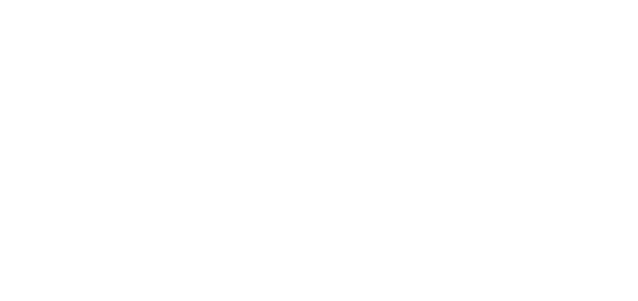 check point logo white