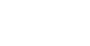 Ansira (2)
